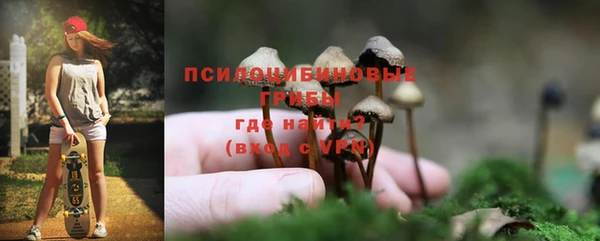 первитин Киреевск