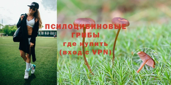 первитин Киреевск