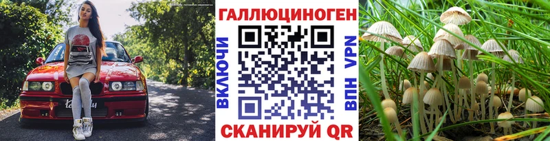 Галлюциногенные грибы Cubensis  Купить закладки  Туапсе 